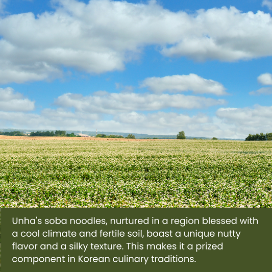 Unha Japanese Buckwheat Noodles, Air Dried Soba Noodle - 3LBS