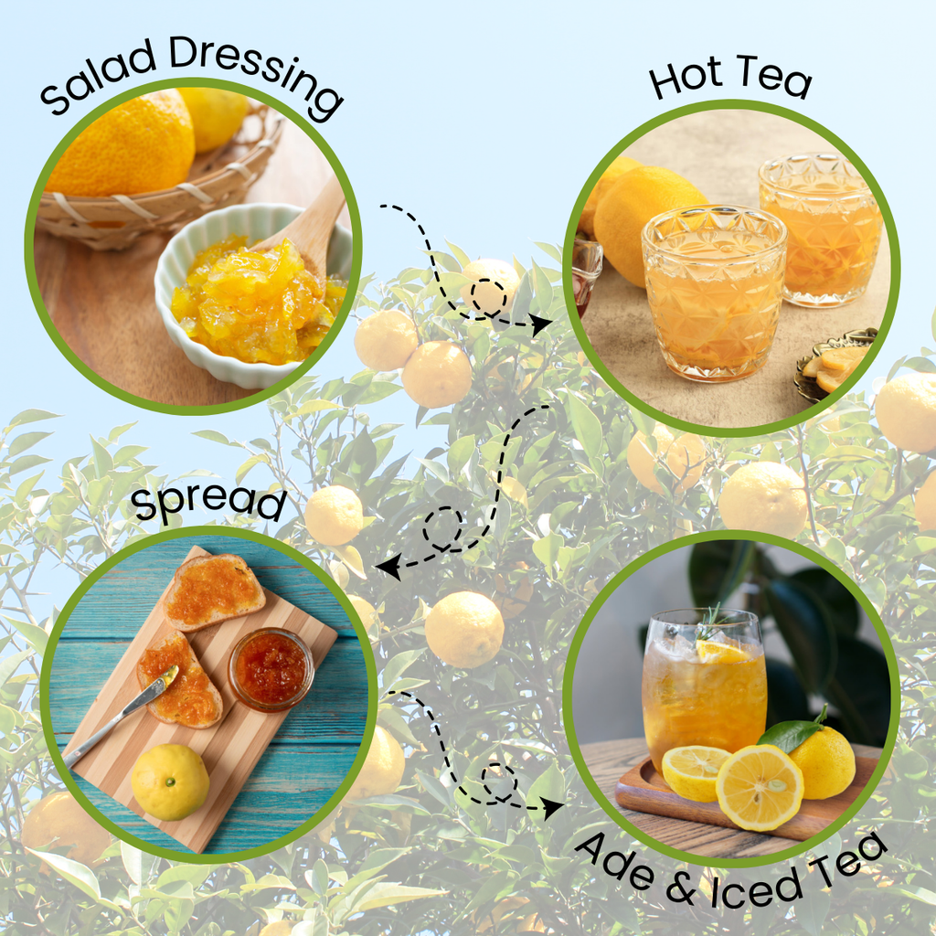 [Unha's Asian Snack Box] Korean Honey Citron Tea 35.2 OZ – Sliced Yuzu with Real Honey