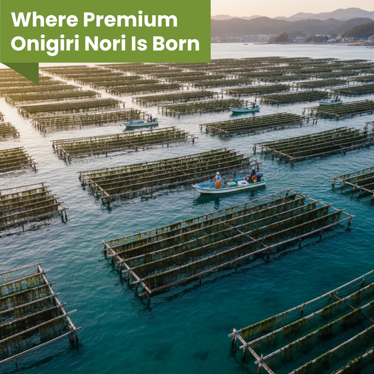 [Unha's Asian Snack Box] Korean Premium Onigiri Seaweed Wrapper, 40 Sheets